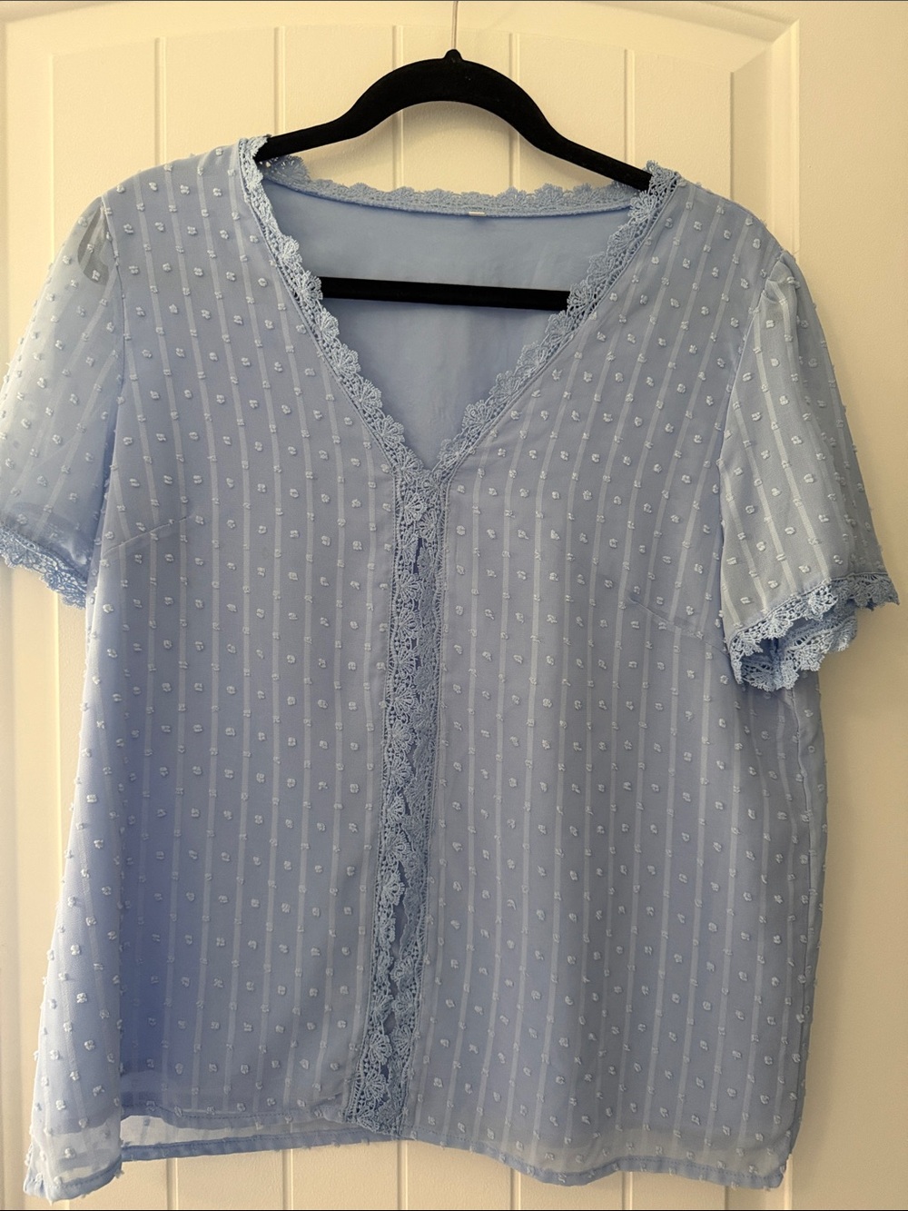 Light Blue Sheer Lace-Trim Blouse